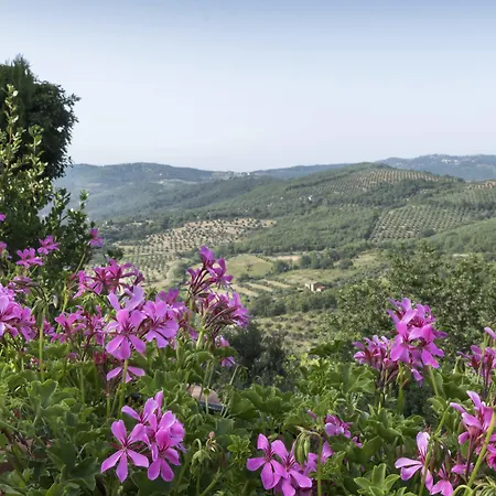 Borgo Spagnoli * Magione