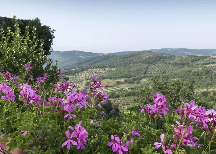 Borgo Spagnoli * Magione